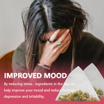 Hormone Balance Tea Manufacturer - Women's Uterus Health Herbal