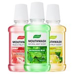 Portable Mouthwash Factory - Private Label Teeth Whitening