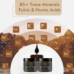 Shilajit Gummy Manufacturer - Hot Sales Pure Himalayan Resin