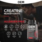 Creatine Capsules Factory - Private Label Monohydrate Gummy