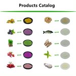 Barley Grass Powder Factory - Private Label Health Care Green