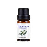 Lavender Oil Manufacturer - Wholesale Soothing Pure Essential