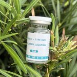 Collagen Solution Manufacturer - Type III XVII Therapy Anti-Wrinkles