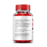 Men's Vitamins Gummies Manufacturer - Natural Apple Cider Vinegar Vital Surge Power