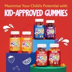 Kids Multivitamin Gummies Manufacturer - Sugar Free Immunity System Complex Vitamins