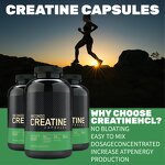 Creatine Capsules Factory - High Quality Monohydrate for Work Out Muscle Building