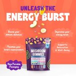 Mushroom Extract Gummies Factory - Super Brain Gummy Ashwagandha Non-GMO Dietary