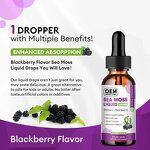 Sea Moss Liquid Drops Factory - Organic Supports Overall Bone Health Relaxation Adults