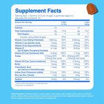 Kids Multivitamin Gummy Factory - Vitamin C D3 Zinc Omega 3 Candy Bear Immunity System