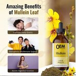 Mullein Leaf Drops Factory - Natural Organic Cleanse Lung Herbal Healthcare Supplements