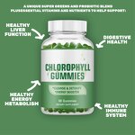 Chlorophyll Gummies Manufacturer - Ausreson Sodium Copper Detox Energy Booster
