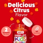 Kids Multivitamin Gummies Manufacturer - OEM 100% Pure Organic DHA Omega 3 Brain Joint
