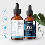 Mullein Leaf Extract Drops Manufacturer - OEM Private Label Natural Organic Tincture