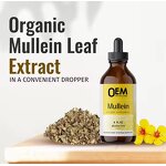 Mullein Leaf Drops Factory - Natural Organic Cleanse Lung Herbal Healthcare Supplements
