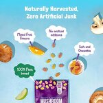 Mushroom Extract Gummies Factory - Super Brain Gummy Ashwagandha Non-GMO Dietary