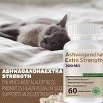 Ashwagandha Capsules Factory - 3000mg Extra Strength OEM Custom for Stress Relief Sleep