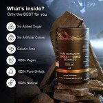 Himalayan Shilajit Gummies Manufacturer - OEM ODM Organic Individually Wrapped