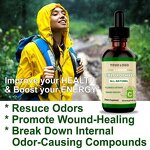 Chlorophyll Liquid Drops Manufacturer - OEM Private Label Wholesale Organic Bulk Supplements