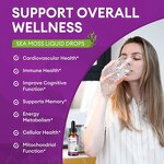Sea Moss Liquid Drops Factory - Organic Supports Overall Bone Health Relaxation Adults