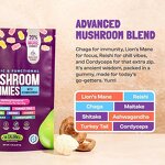 Mushroom Extract Gummies Factory - Super Brain Gummy Ashwagandha Non-GMO Dietary