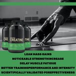 Creatine Capsules Factory - High Quality Monohydrate for Work Out Muscle Building