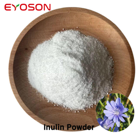 Inulin Powder Manufacturer - Organic Bulk Sale Herbal Extract