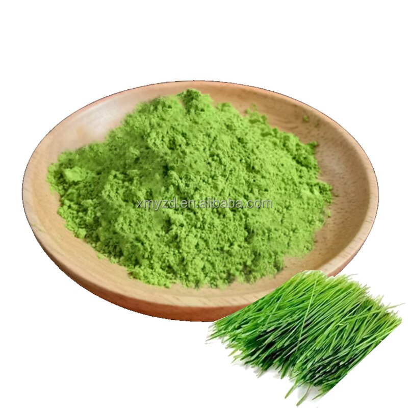 Barley Grass Powder Manufacturer - Factory Supply Instant Dissolve
