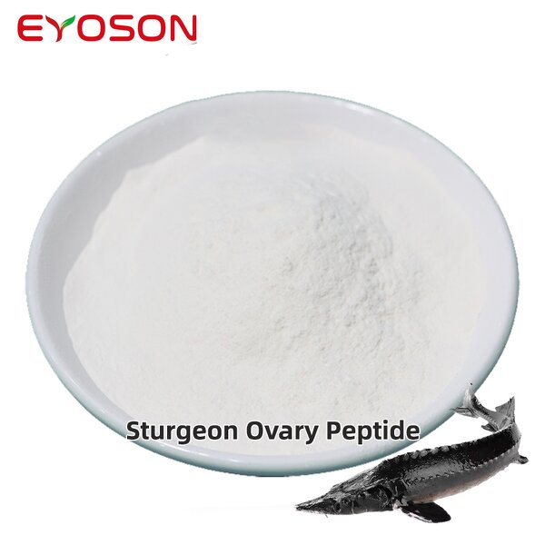 Sturgeon Peptide Powder Manufacturer - Halal Nano Ovarian Care
