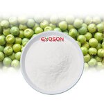 Hydrolyzed Pea Peptide Factory - Wholesale Halal Certified Nano