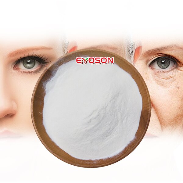 Collagen Tripeptide Powder Manufacturer - Halal 300 500 Dalton Hydrolysed