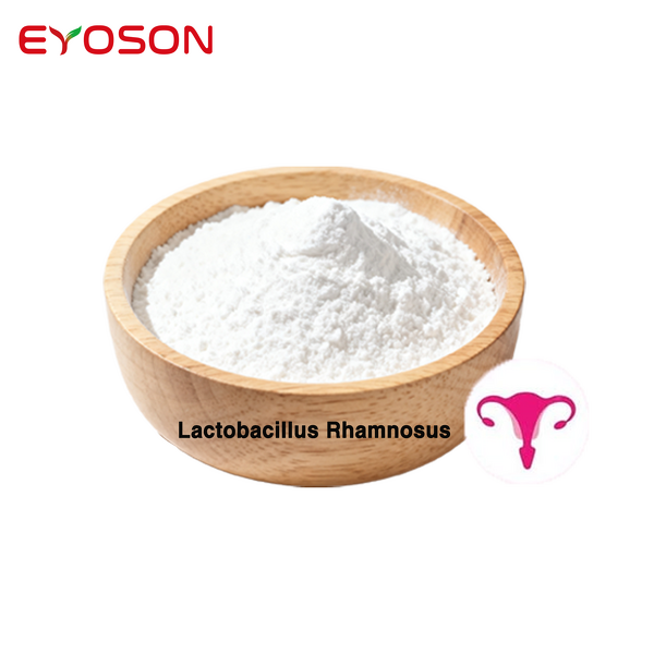 Vaginal Health Probiotics Manufacturer - Halal High-Potency Lactobacillus