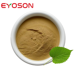Mulberry Leaf Extract Manufacturer - OEM Wholesale 10:1 Food Grade