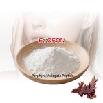 Marine Algae Hydrolysate Factory - Factory Price Vegan Porphyra