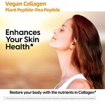 Whitening Peptide Manufacturer - Plant Based Protein Hydrolyzed