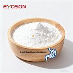 Probiotics Enzyme Powder Factory - Factory Supply Lactobacillus Acidophilus
