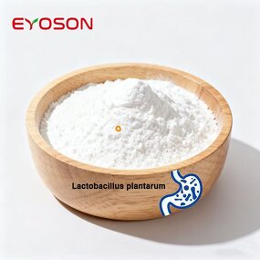 Probiotics Enzyme Powder Factory - Factory Supply Lactobacillus Acidophilus