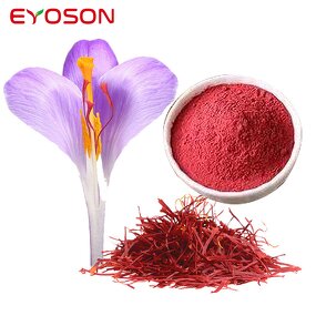 Saffron Extract Powder Factory - Wholesale 0.3% Safranal Organic