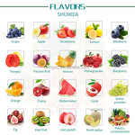 Meal Replacement Powder Factory - Private Label Vegan Nutrition