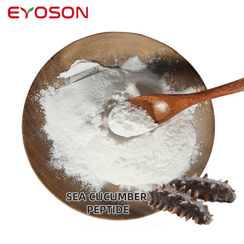 Marine Peptides Manufacturer - GMP Factory Halal Water Dissolve