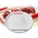 Hydrolyzed Protein Powder Factory - Hot-Selling OEM Source 95% Purity