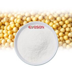 Soy Peptide Powder Factory - Wholesale Organic Dietary Supplement