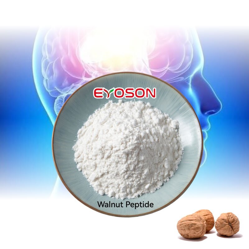 Walnut Peptide Manufacturer - Bulk Non-GMO Vegan Cognitive Focus