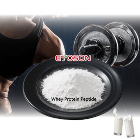 Whey Protein Peptide Factory - OEM Instant Hydrolysate Bulk Supply