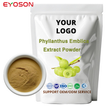 Amla Powder Factory - Wholesale Organic Phyllanthus Emblica