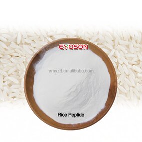 Rice Protein Peptide Factory - Halal Plant Peptide Skincare Raw