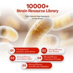 Probiotics Powder Manufacturer - OEM 50 Billion Lactobacillus Rhamnosus