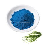 Spirulina Powder Factory - Customized Organic Blue Extract