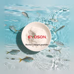 Marine Collagen Peptide Factory - GMP Factory Supply Small Molecule