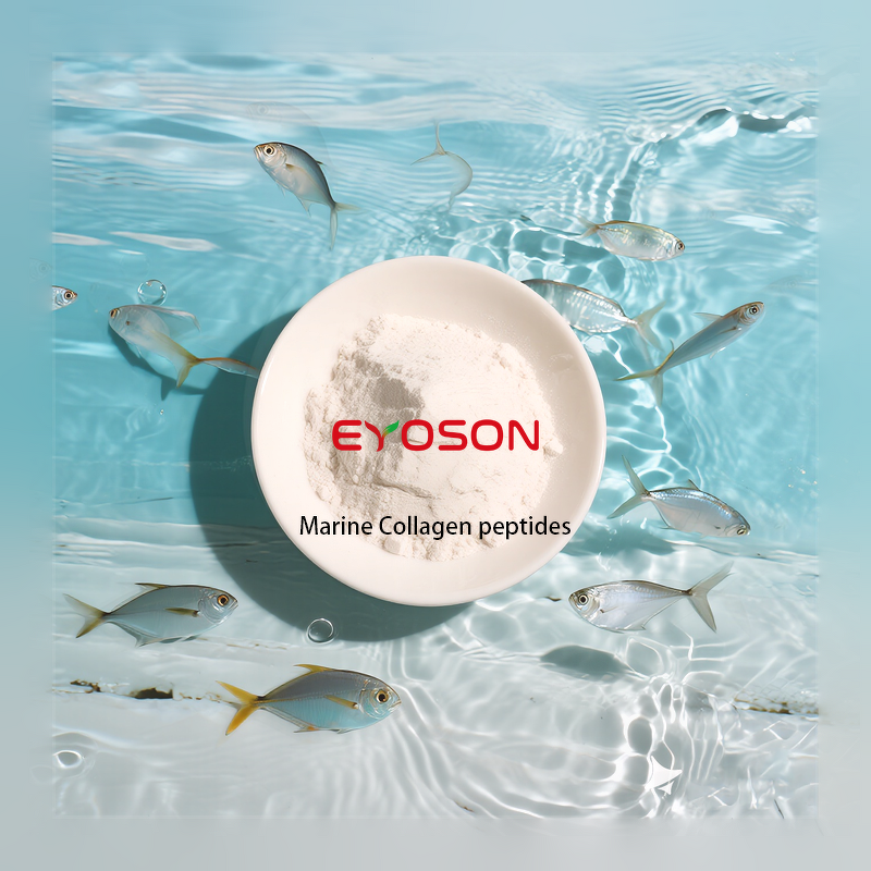 Marine Collagen Peptide Factory - GMP Factory Supply Small Molecule