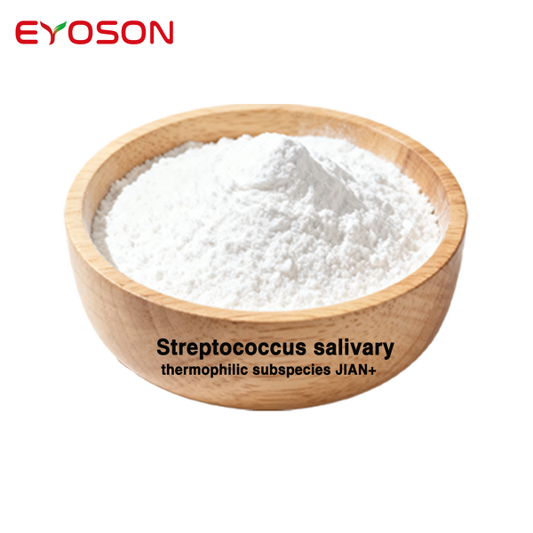 Probiotics Powder Manufacturer - High Potency Streptococcus Salivarius
